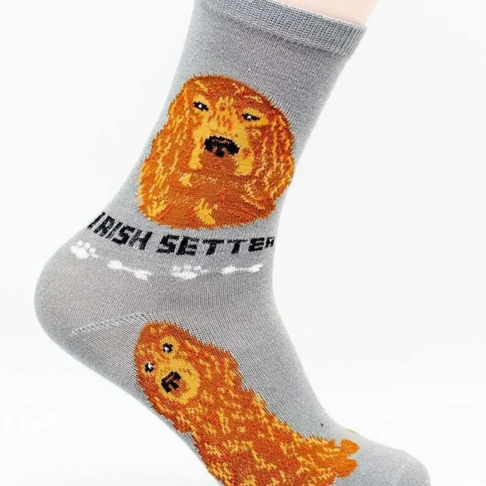 Irish Setter Hunting Gundog Dogs Rescue Friendly Animal Dog Foozys Socks